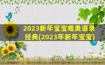 2023新年宝宝唯美语录经典(2023年新年宝宝)